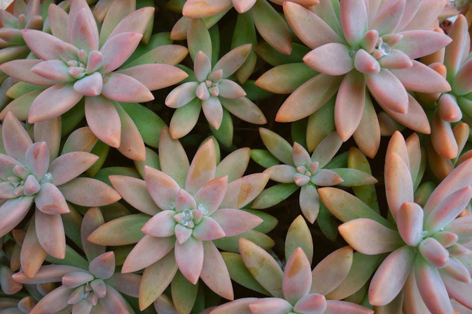 裝修市場分析與實務報告