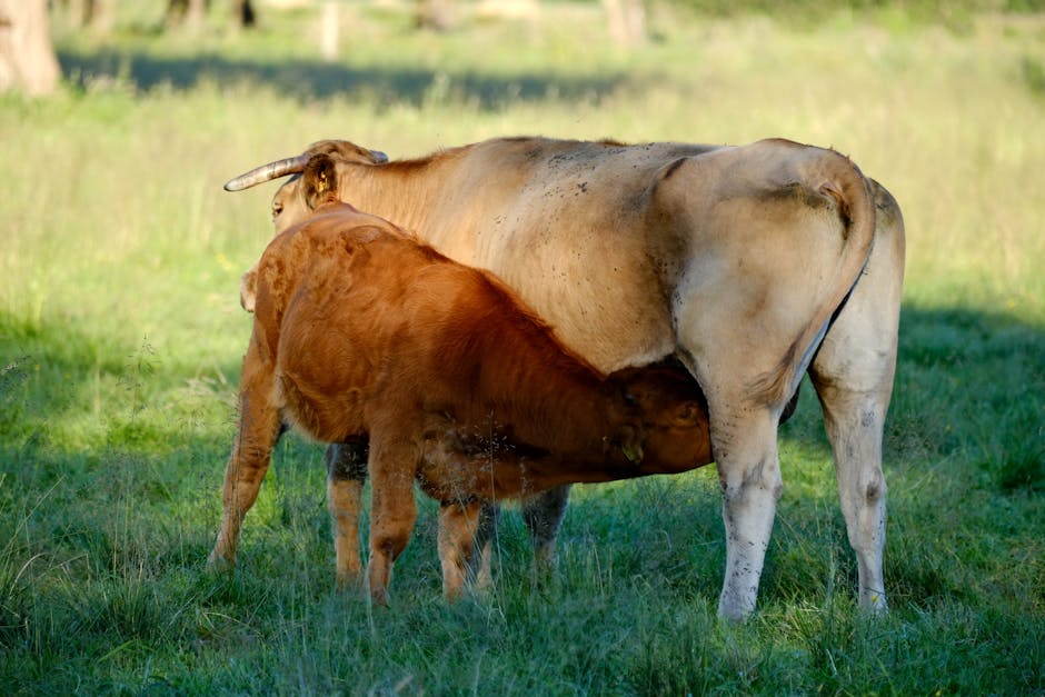 媽媽手治療：讓你重拾靈活雙手的秘密武器