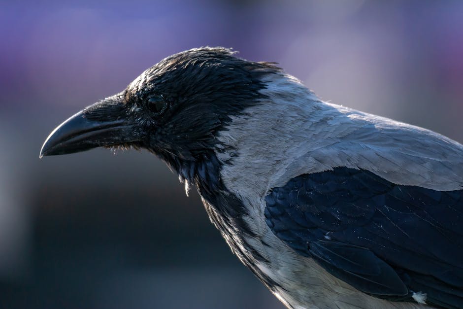 眼部療程：提升雙眸健康與美麗的秘訣